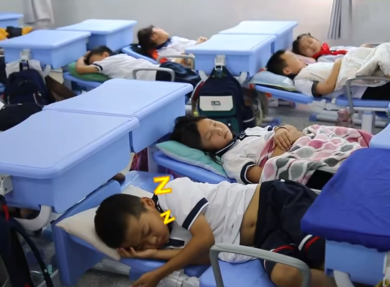 教育部回复创造学生午休条件！学校不用改造就可以实现躺睡午休？学习休息两不误(图5)