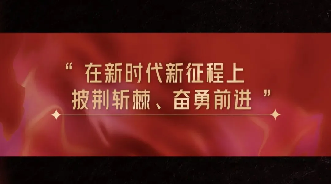 披荆斩棘的背后，是多年如一日的专研(图2)