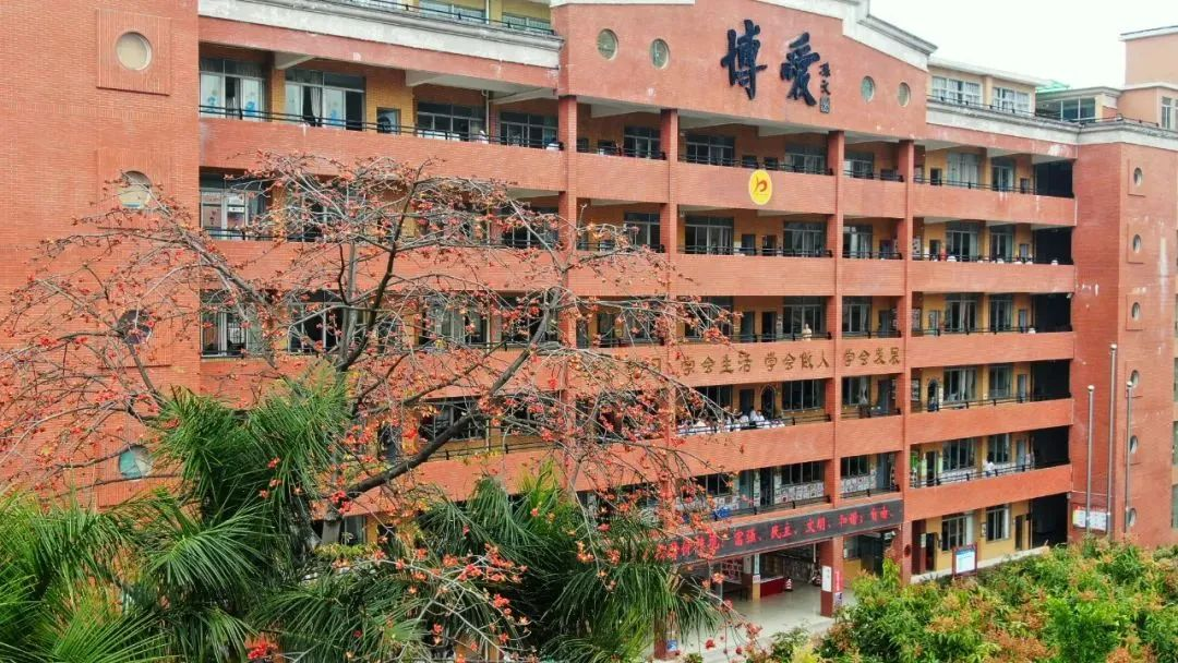 祥聚案例分享|上海外国语大学三亚附属中​学(图6)